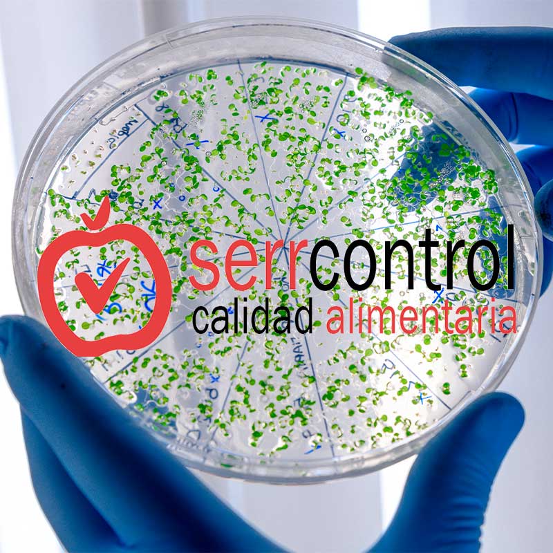 control-de-la-legionella-en-Sevilla